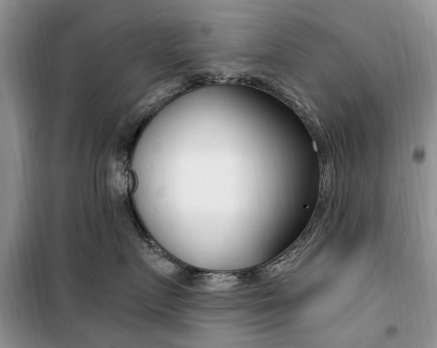 X0000099520719200805291211