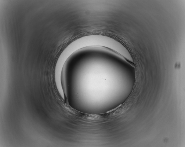 X0000099520720200805291211