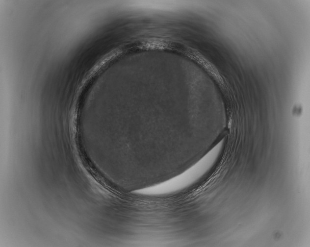 X0000099520722200805291210