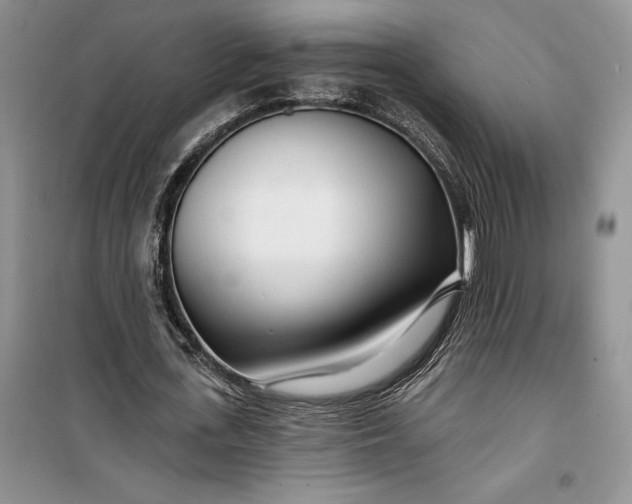 X0000099520723200805291210