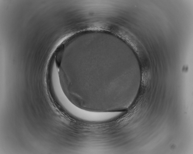 X0000099520724200805291210