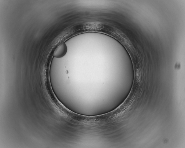 X0000099520725200805291210