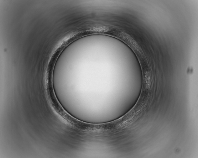 X0000099520726200805291210