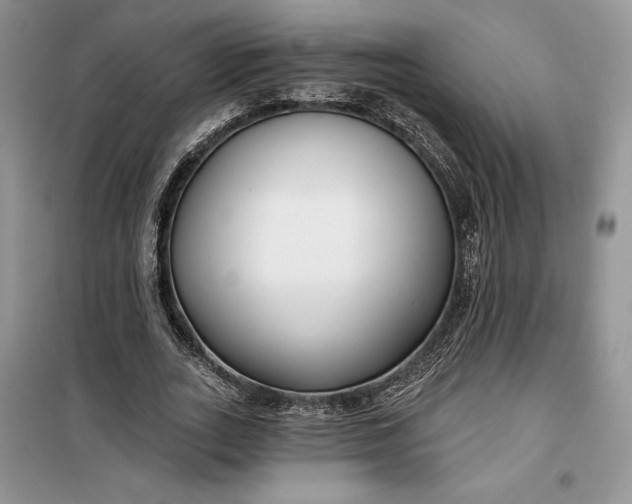 X0000099520727200805291210