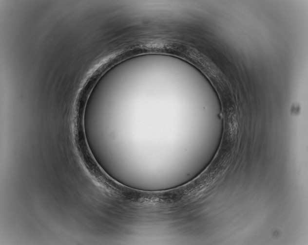 X0000099520728200805291210