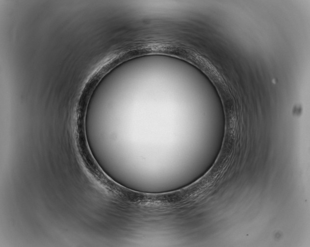 X0000099520730200805291210