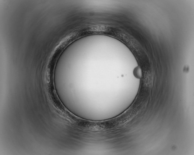 X0000099520731200805291210