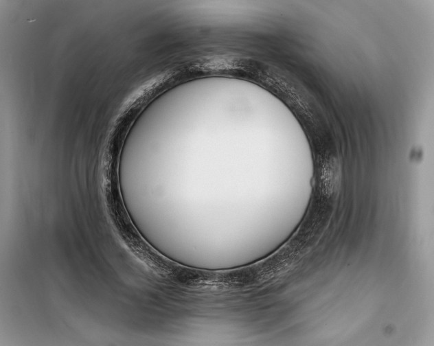 X0000099520732200805291210