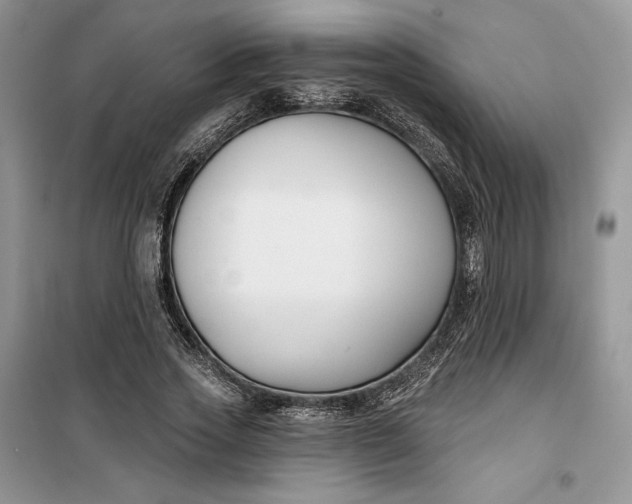 X0000099520733200805291210