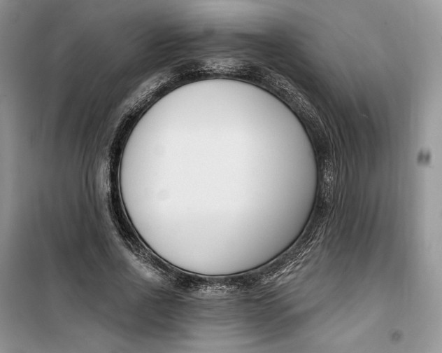 X0000099520734200805291210