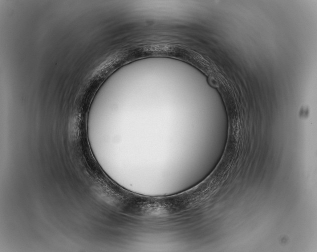 X0000099520735200805291210