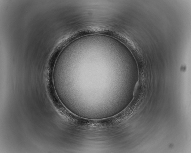 X0000099520736200805291210