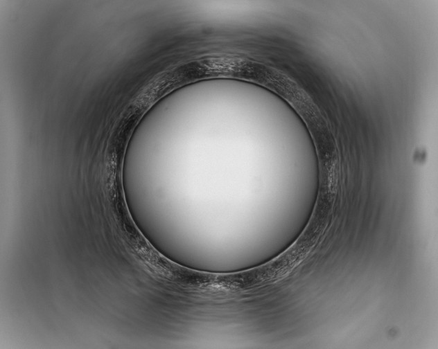 X0000099520737200805291210