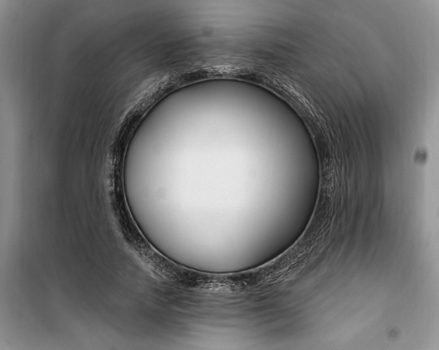 X0000099520738200805291210