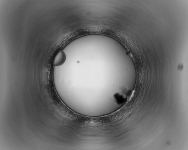 X0000099520739200805291210