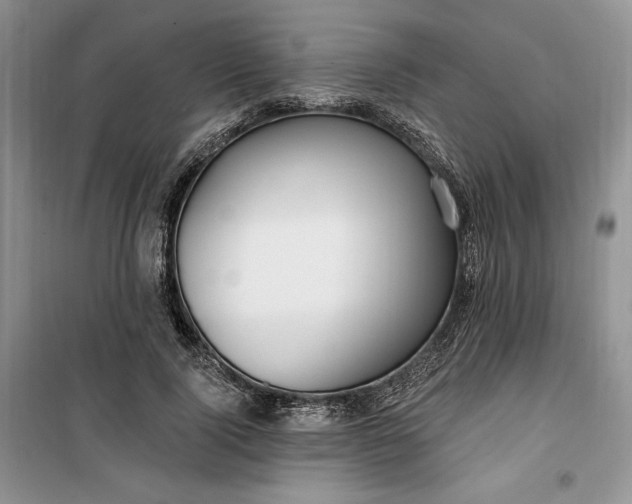 X0000099520740200805291210