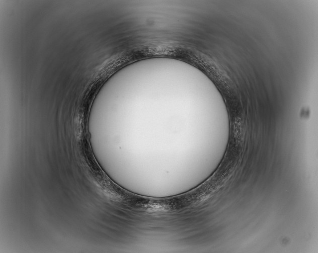 X0000099520741200805291211