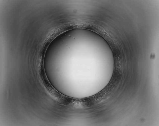 X0000099520742200805291211