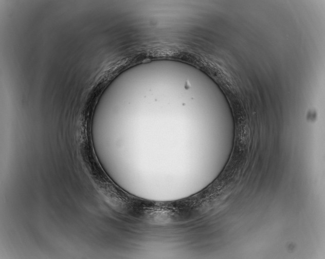 X0000099520743200805291211