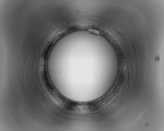 X0000099520744200805291211