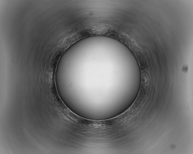 X0000099520745200805291211