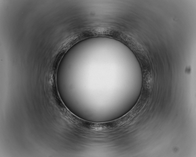 X0000099520746200805291211