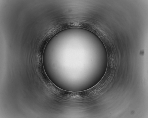 X0000099520747200805291211