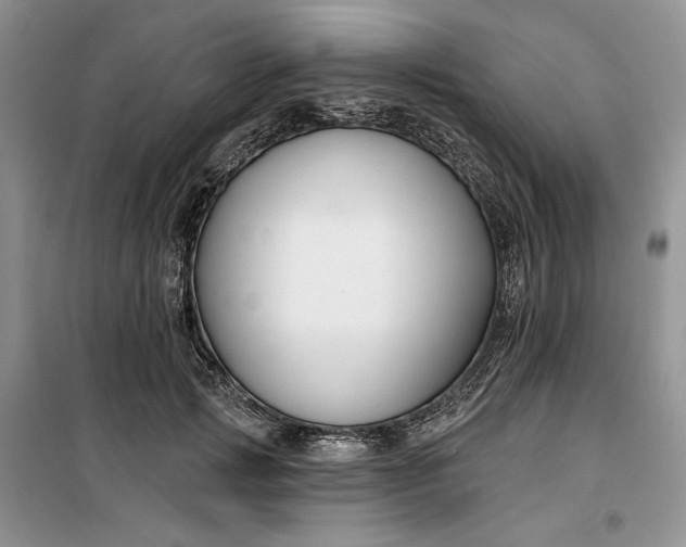 X0000099520749200805291211