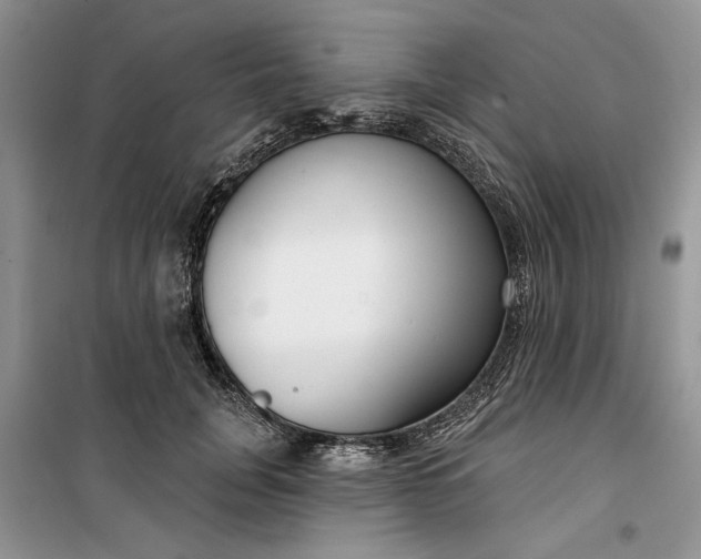 X0000099520751200805291211