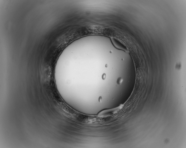 X0000099520752200805291211