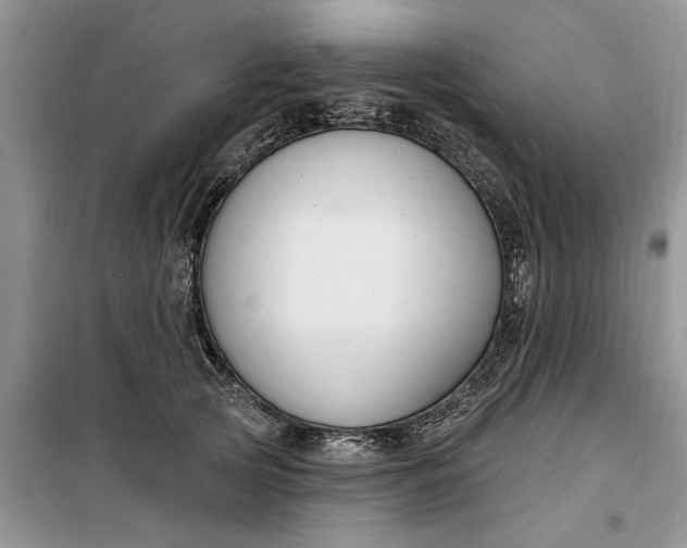 X0000099520753200805291211