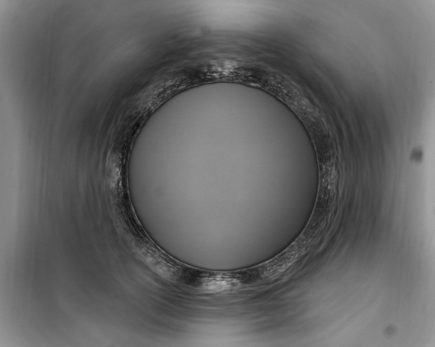 X0000099520754200805291211