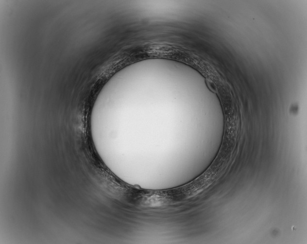 X0000099520755200805291211