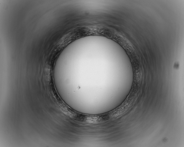 X0000099520757200805291211