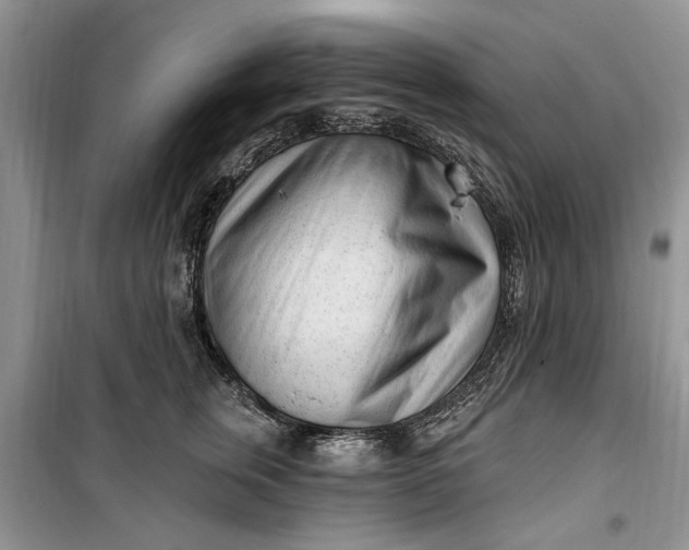 X0000099520759200805291211