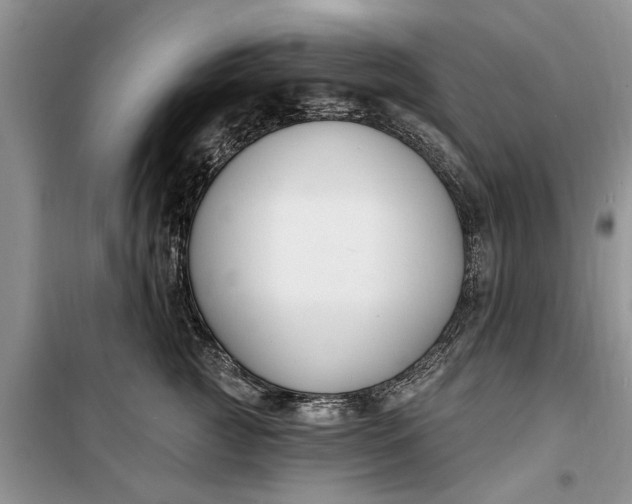 X0000099520761200805291211