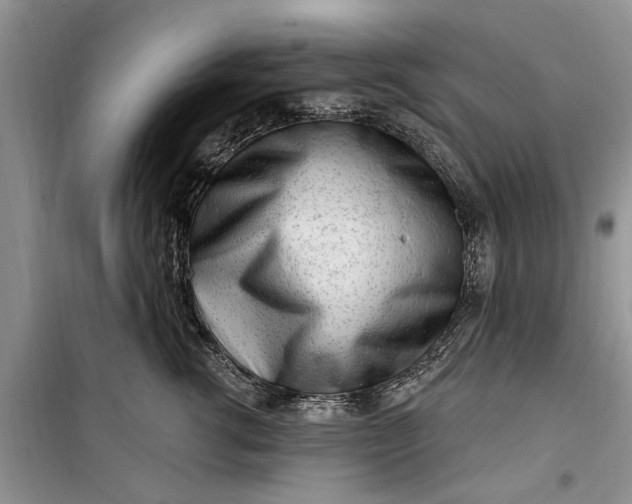 X0000099520762200805291211