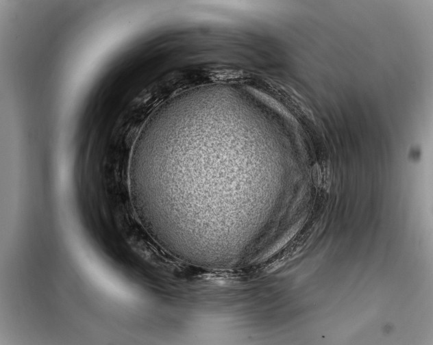 X0000099520763200805291211