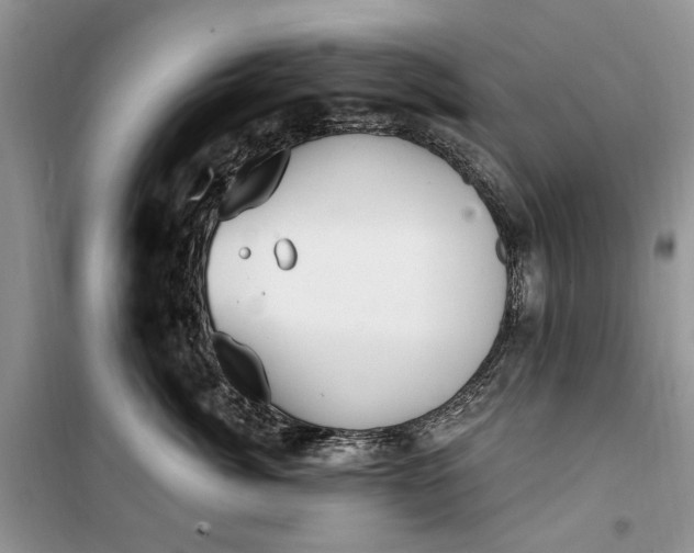 X0000099520764200805291211