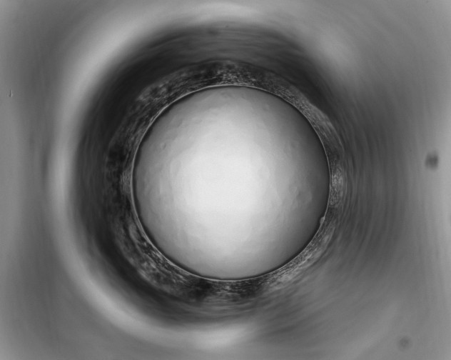 X0000099520765200805291211