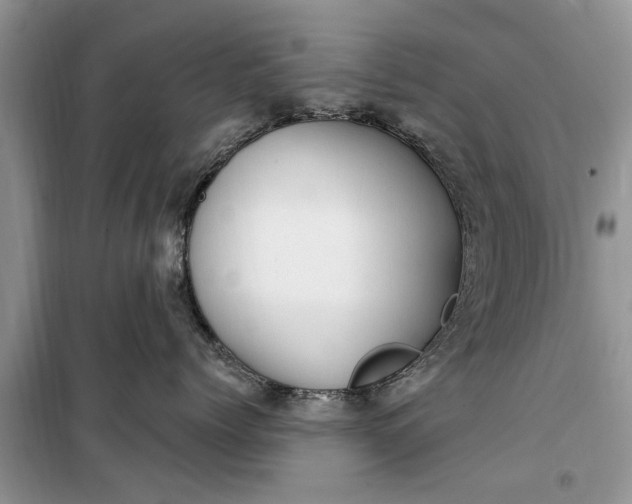 X0000099520768200805291211