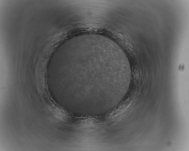 X0000099520769200805291210