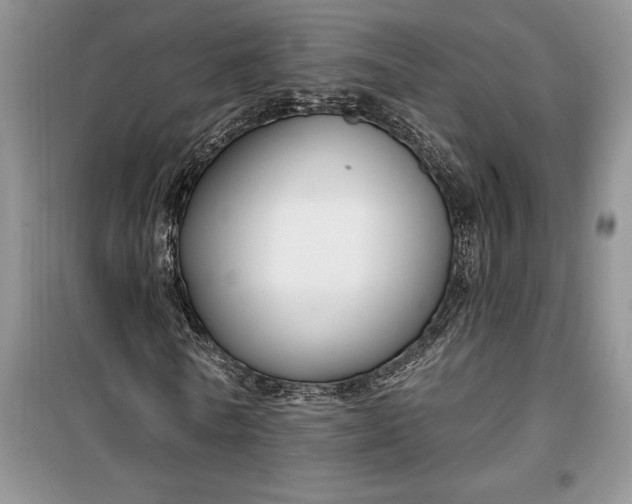 X0000099520770200805291210