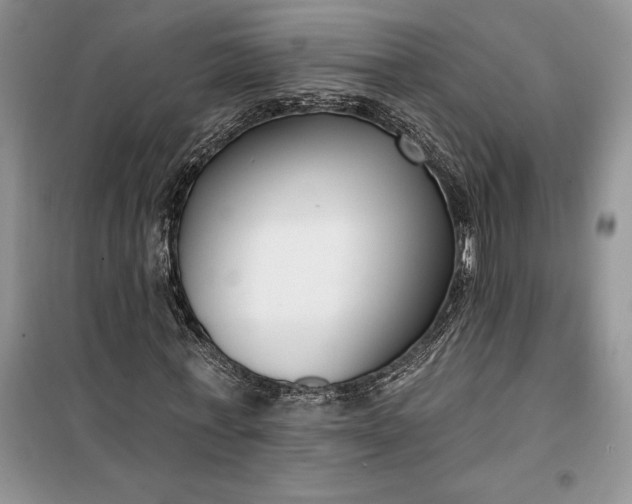 X0000099520771200805291210