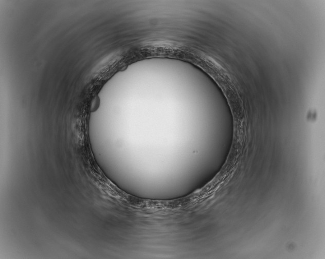 X0000099520774200805291210