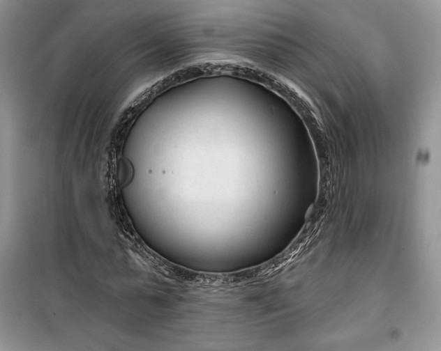 X0000099520775200805291210