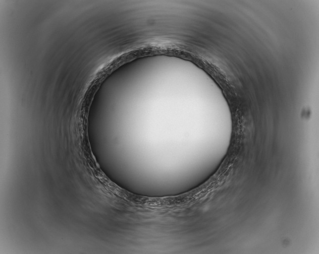 X0000099520776200805291210