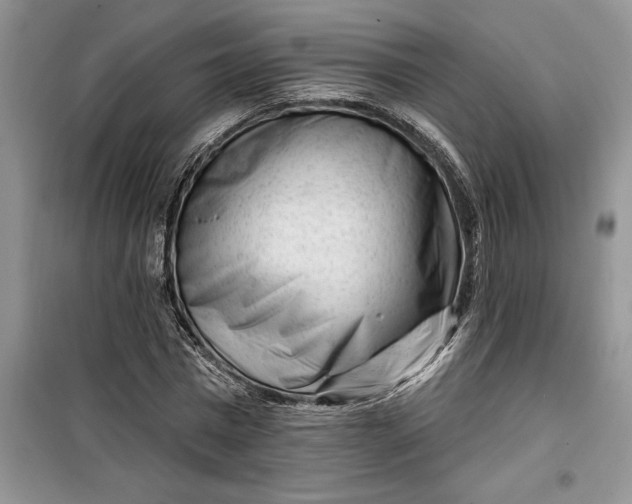 X0000099520777200805291210