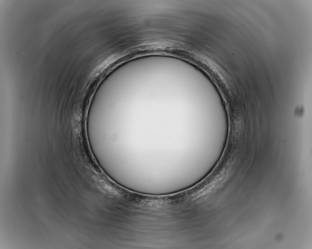 X0000099520778200805291210