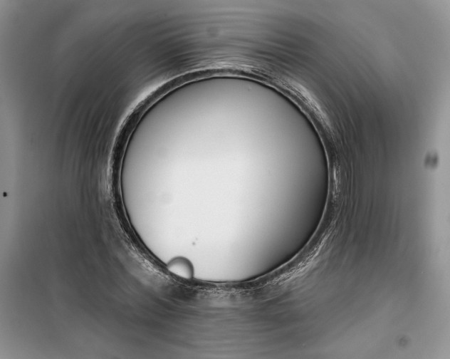 X0000099520780200805291210